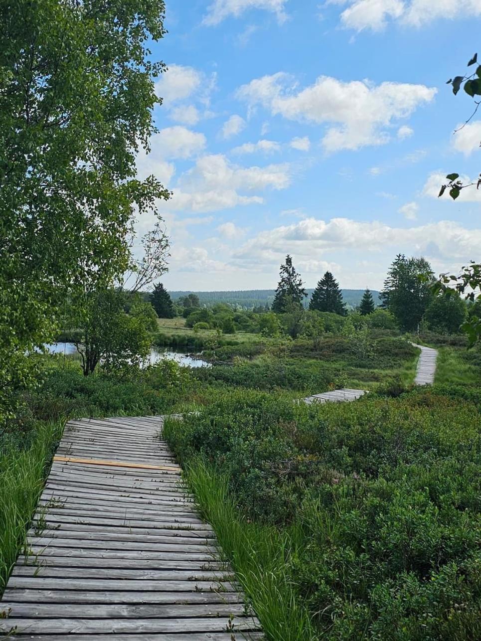 Urlaub Am Schwarzbach Mit Sauna Und Whirlpool Haus Felix Kuchelscheid ภายนอก รูปภาพ